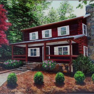 Cabin in the Mountains