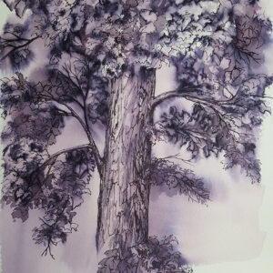 The Violet Oak Tree